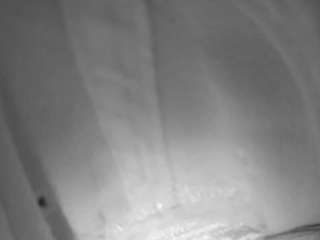 voyeurcam-baileybase-shower avatar