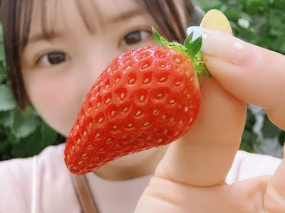 anchan_ avatar