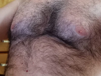 BearArg avatar