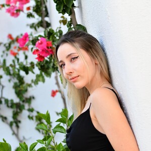 DinasLibrary avatar