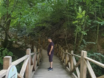 Adanadansikici avatar