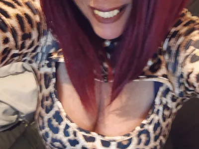 Busty-Belfast-Irish-Girl avatar
