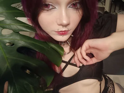 KittieHeart avatar