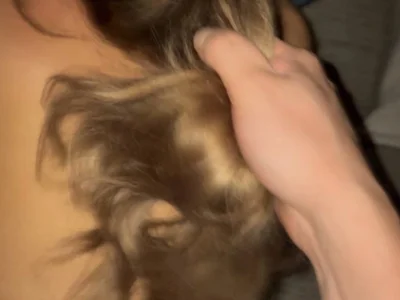 sinfullysoft avatar