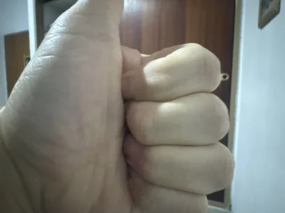 venteveo1 avatar