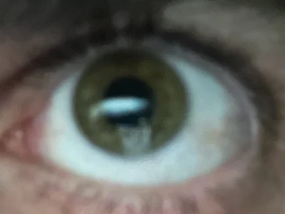 BigDickGreecee avatar