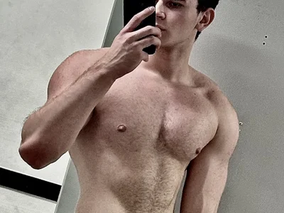 dinovl avatar