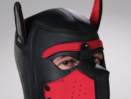 Belacq96 avatar