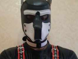 PupMax69 avatar