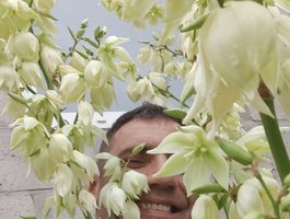 Sergem202018-1 avatar