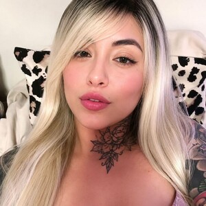 GatitaHorny69 avatar