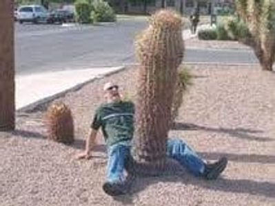 cannadura avatar