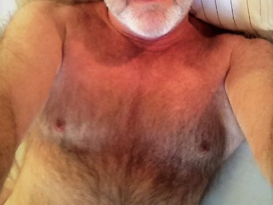 hairybull avatar