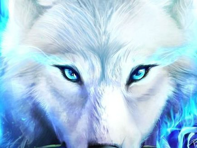 liryc91 avatar