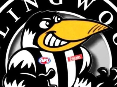 magpies26 avatar
