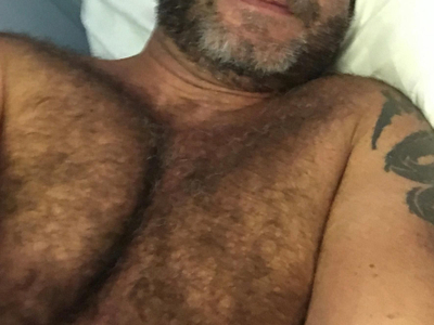 ptibear1 avatar