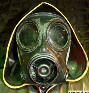 rbrboi avatar
