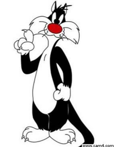 silvestro121 avatar