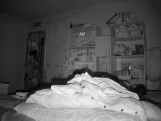 voyeurcam-freakyfeline-01 avatar