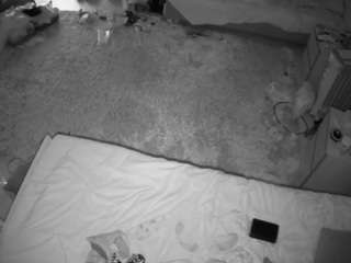 voyeurcam-julmodels-whitebed-5 avatar