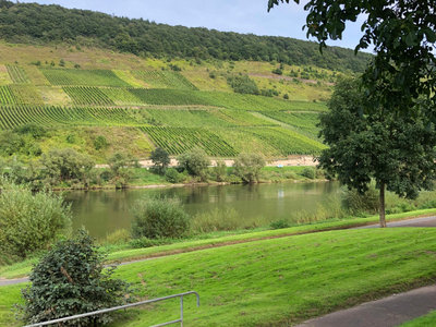 nrw1632 avatar