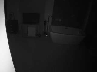 voyeurcam-casa-salsa-bathroom-4 avatar