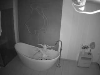 voyeurcam-casa-salsa-bathroom-5 avatar