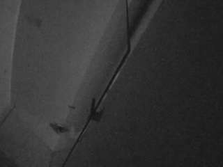 voyeurcam-casa-salsa-bathroom-7 avatar