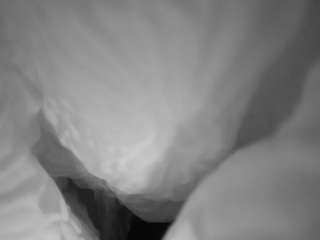 voyeurcam-casa-salsa-bedroom-1 avatar