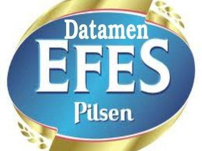 _datamen_ avatar