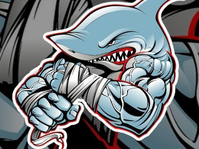 hottshark avatar