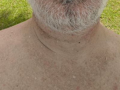 jnicolao1 avatar