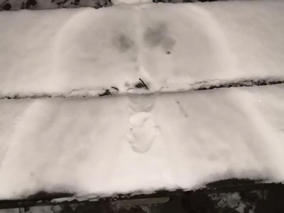 uzun avatar