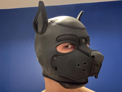 CamDogFr