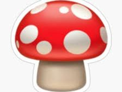 cerapapi22 avatar