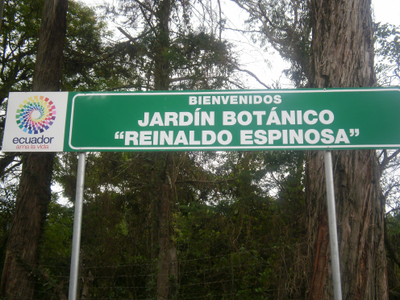Davidpingonperu