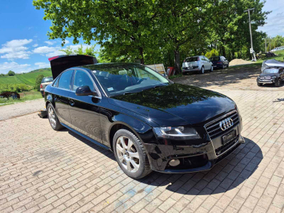 Dragogm avatar