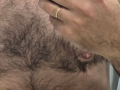 bear33 avatar