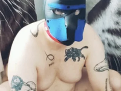 gaywolf426 avatar