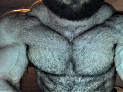 Hugealphabeast avatar